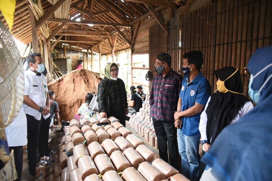 Poktan Mekar Jaya