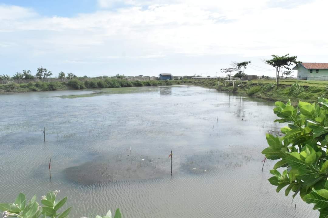 Kolam budidaya ikan (Foto: Dinas Kelautan dan Perikanan Jabar)