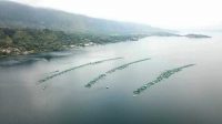 0304 toba - Kemenko Marves Identifikasi Keramba Jaring Apung Danau Toba 2 Keramba Jaring Apung Danau Toba