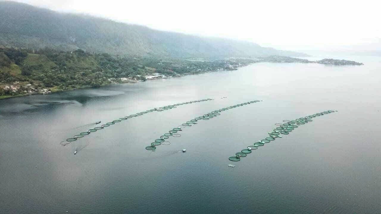 Keramba Jaring Apung Danau Toba