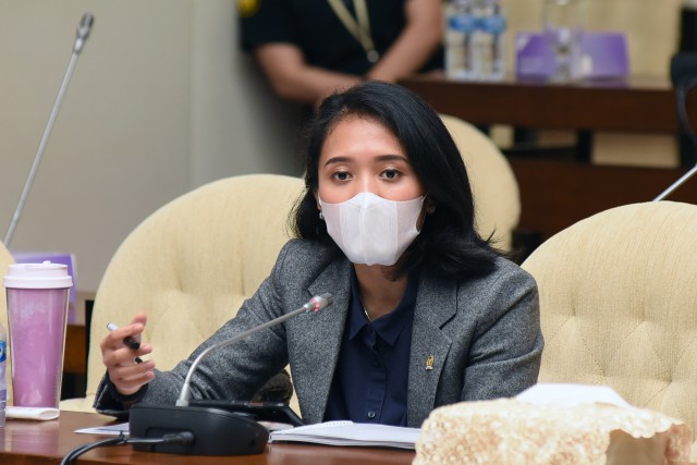 Komisi XI DPR