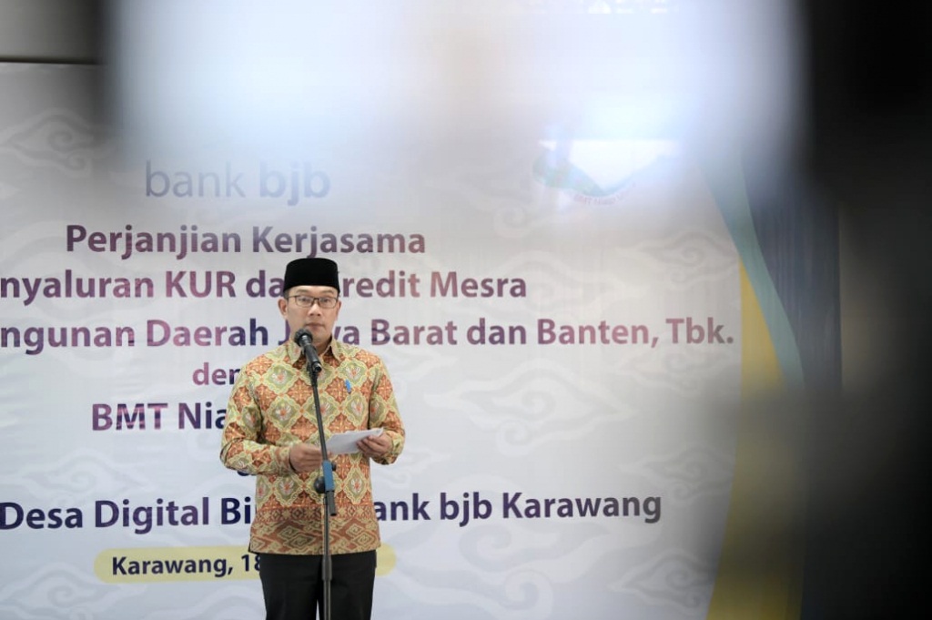 desa digital