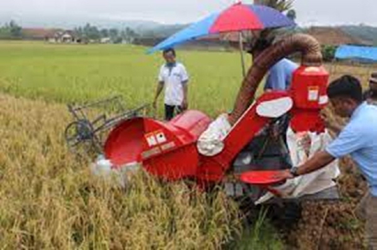 Ilustrasi/ Rice Milling Unit. (Foto: Dinas TPH Jabar)