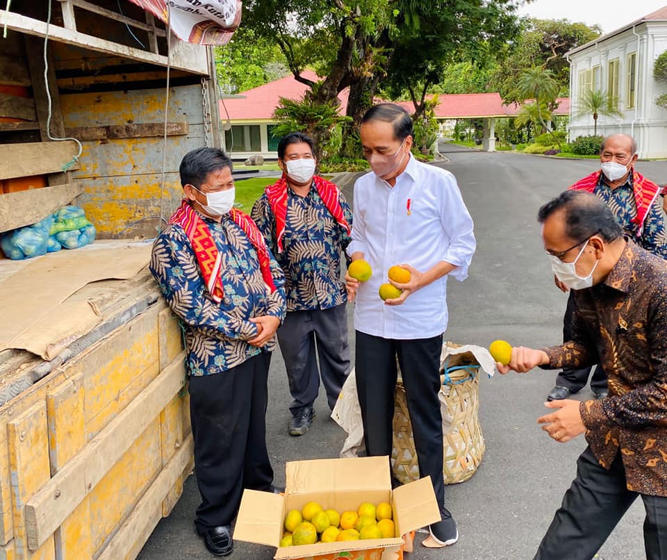 Presiden Jokowi didampingi Mensesneg Pratikno saat menerima oleh-oleh jeruk dari warga Liang Melas Datas, Kabupaten Karo, Sumatera Utara di Istana Merdeka, Jakarta, Senin (06/12/2021). (Foto: BPMI Setpres/Laily Rachev)