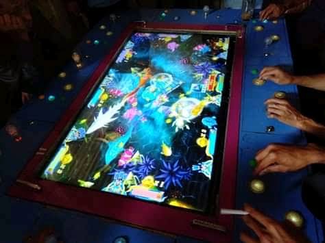 Foto Ilustrasi: Mesin judi ikan-ikan