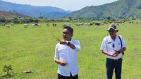 Wakil Bupati Karo Theopilus Ginting meninjau kawasan pengembalaan ternak Mbal-Mbal Nodi yang berada di Desa Mbal-Mbal Petarum, Kecamatan Lau Baleng, Kabupaten Karo. (Foto: Prokopim Karo)