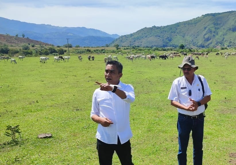 Wakil Bupati Karo Theopilus Ginting meninjau kawasan pengembalaan ternak Mbal-Mbal Nodi yang berada di Desa Mbal-Mbal Petarum, Kecamatan Lau Baleng, Kabupaten Karo. (Foto: Prokopim Karo)