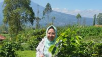 2506 jkt - Indah Megahwati Meninjau Perkebunan Kopi Milik Rakyat.ok